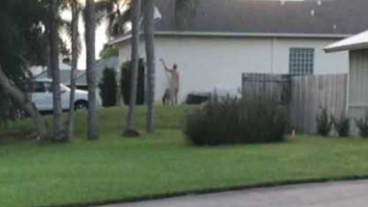 Best of My naked neighbor