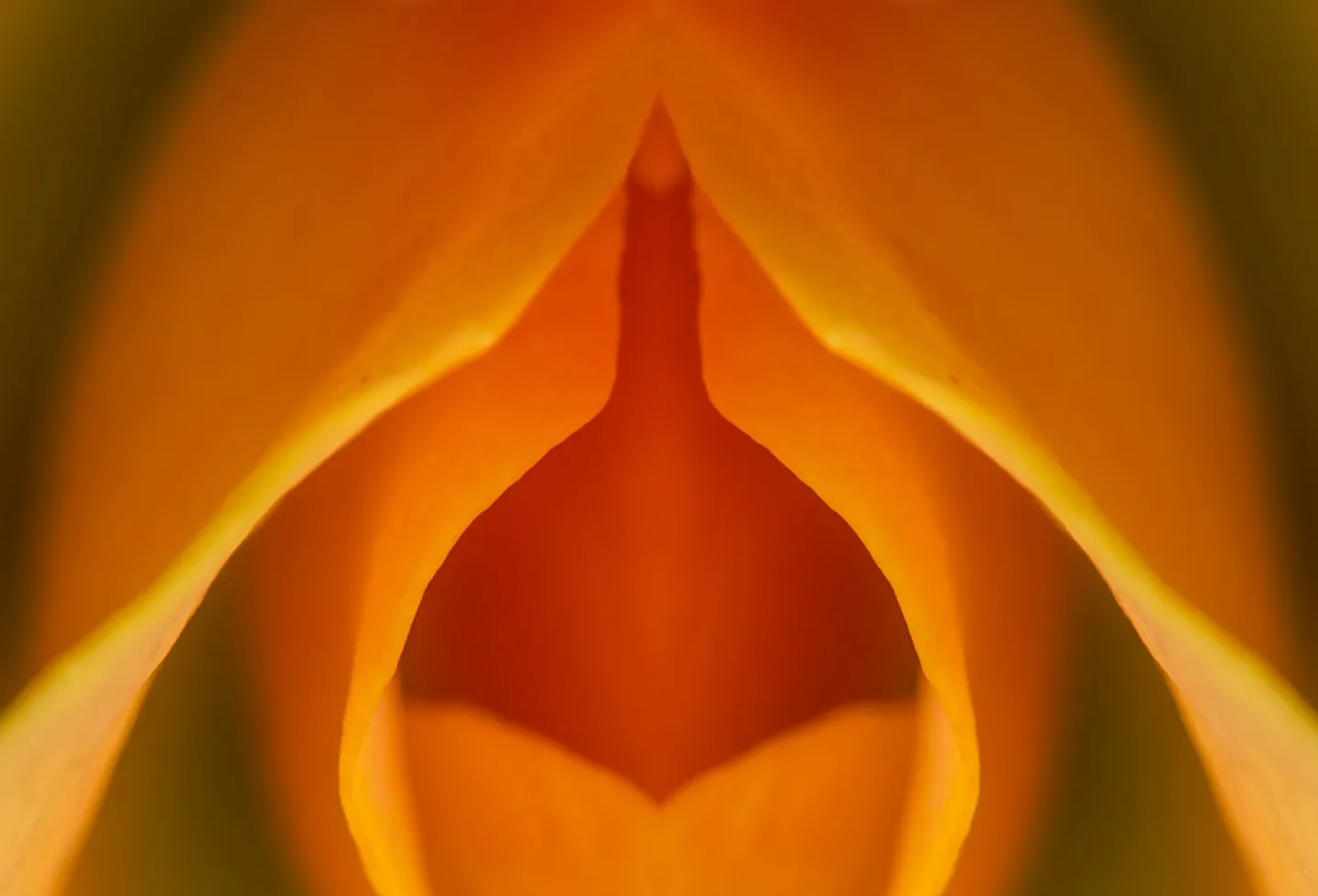 carol dalby add photo vulva close up