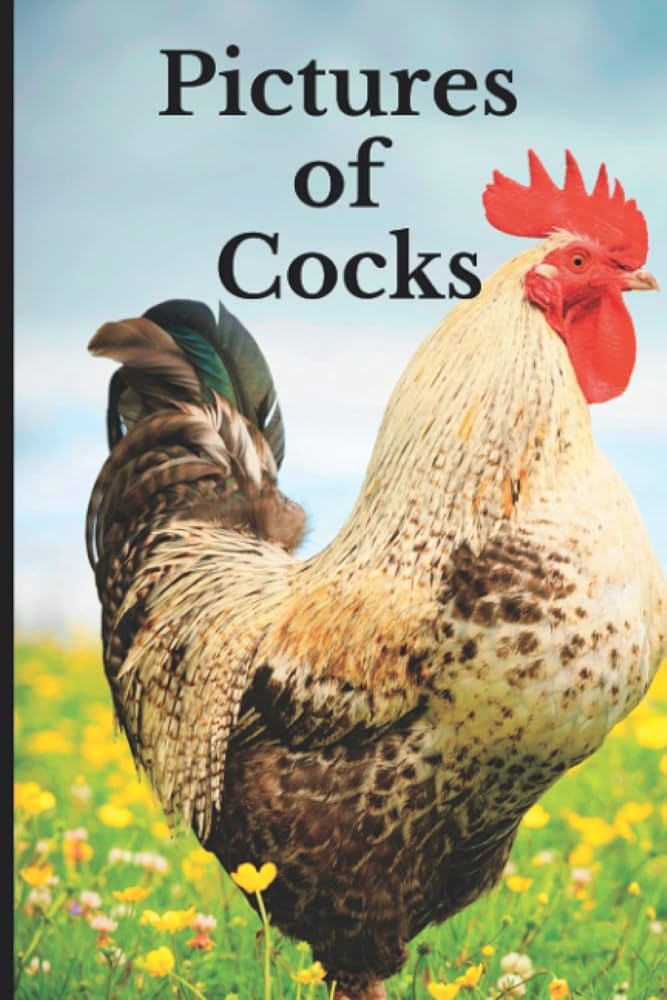 The Gift Of Cock 2 cam nude