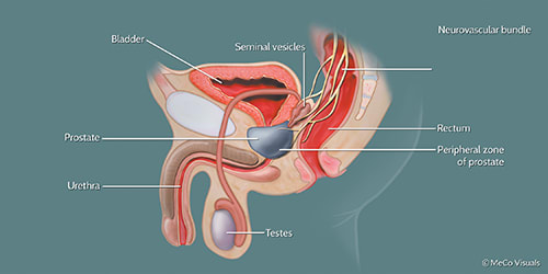 andrew handley recommends cum during prostate exam pic