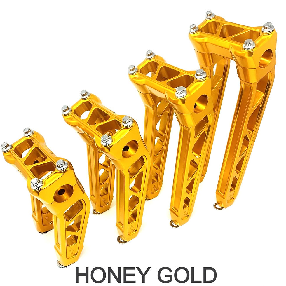 deepak bassi recommends honey gold motorcycle pic