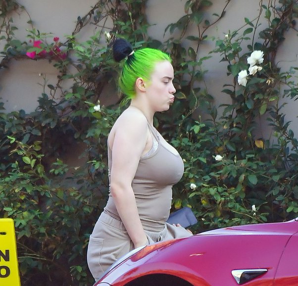 beverly snyder share billie eilish thicc photos