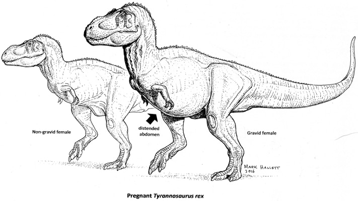 cliff auger recommends dinosour porn pic