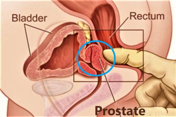 dan greco recommends Prostate Stimulation Stories