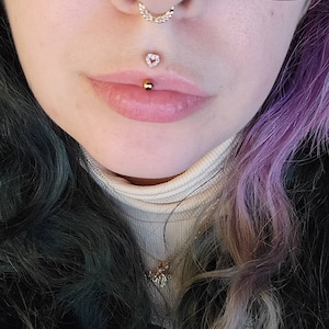 buddika de silva recommends smallest medusa piercing pic