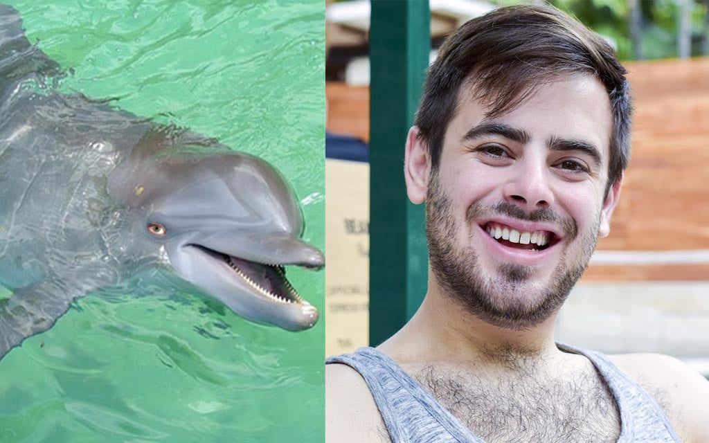 audrey ammons recommends Man Fucks Dolphin