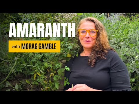 brittany lane moore recommends Amaranth Naked