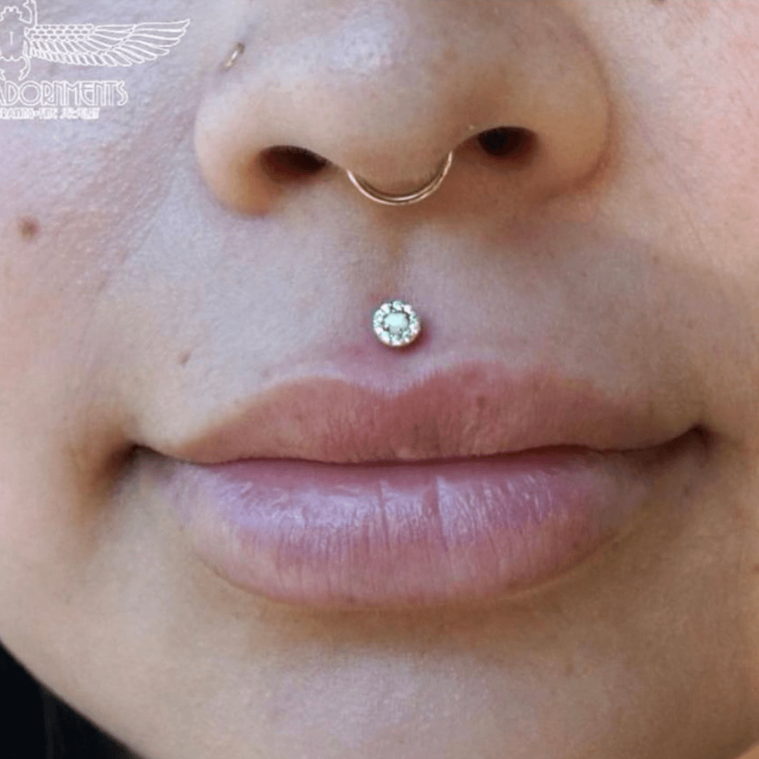 arthur kindon recommends Smallest Medusa Piercing