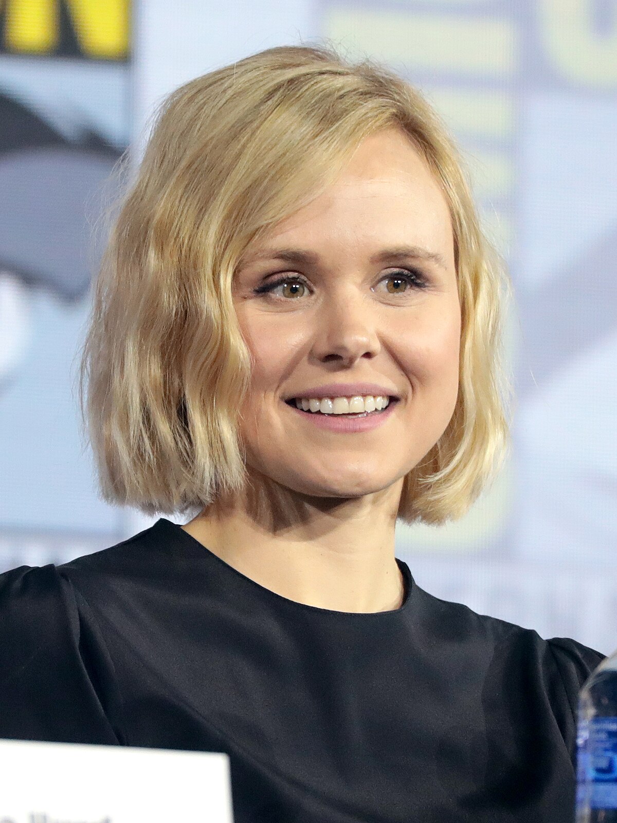 admir arnaut recommends Alison Pill Hot