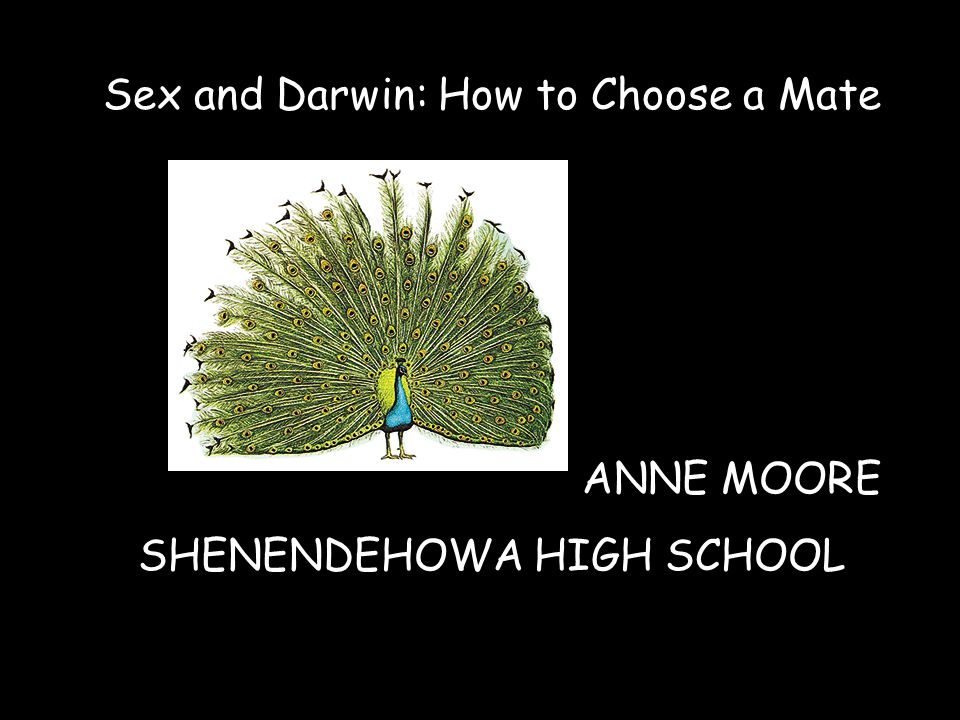 Anne Moore Sex enter now