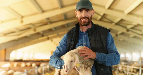 carol riser recommends man screwing sheep pic