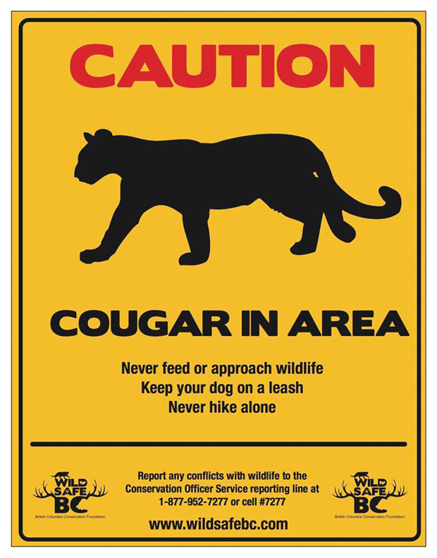 dave jasinski recommends the cougar trap pic