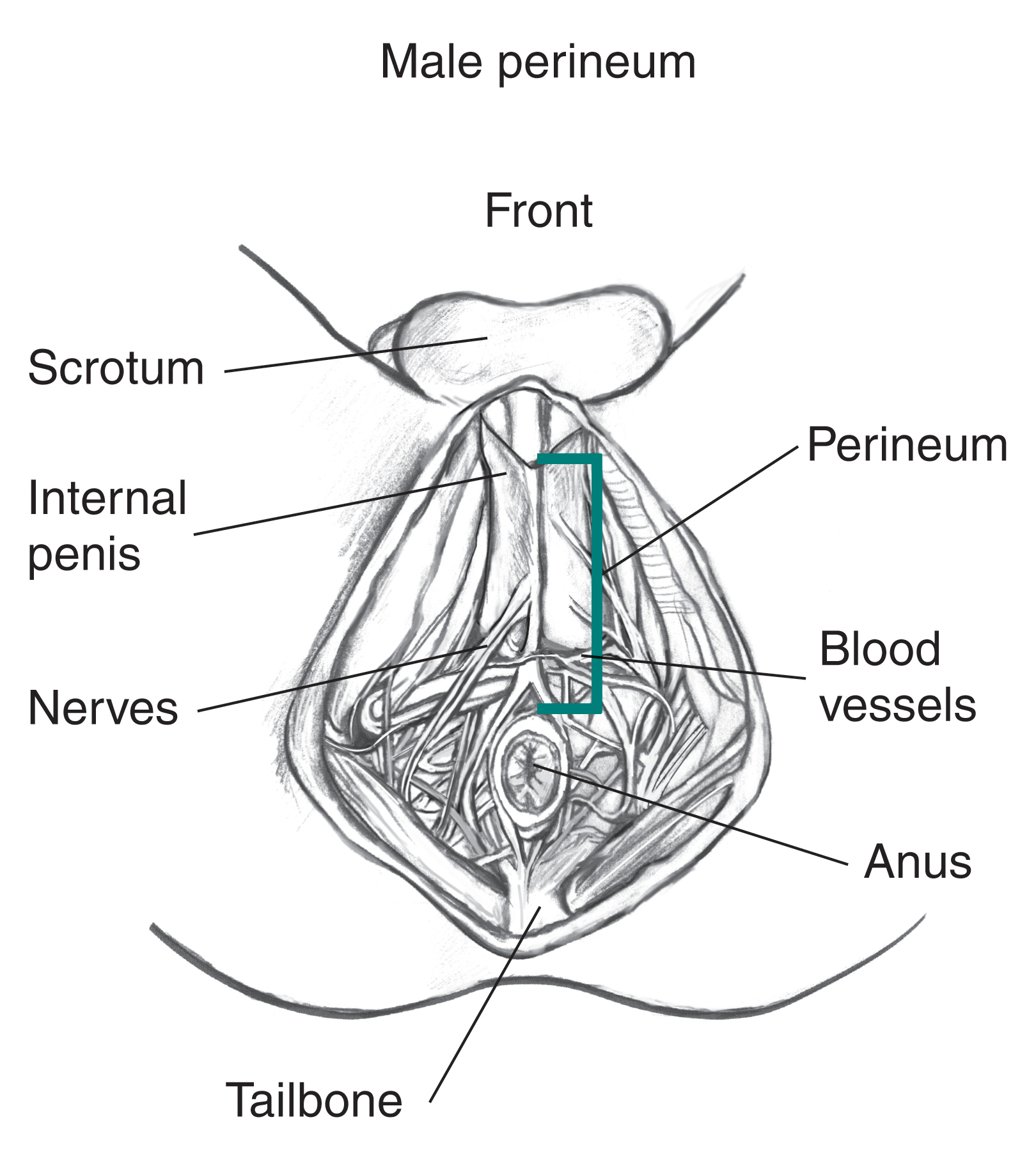 doug nace add penis in boys ass photo