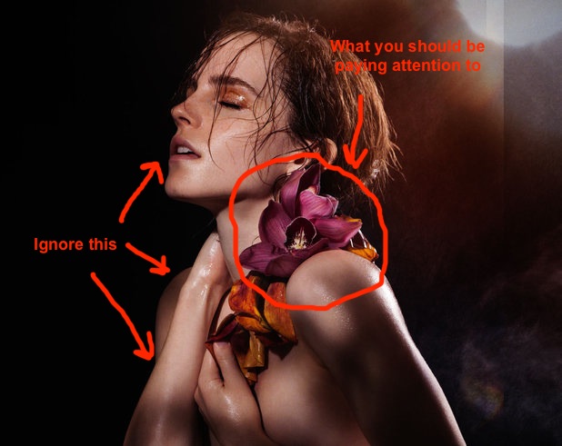 chevy chan recommends Emma Watson Nude Photoshoot