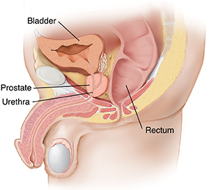 craig woolcock recommends Cum During Prostate Exam