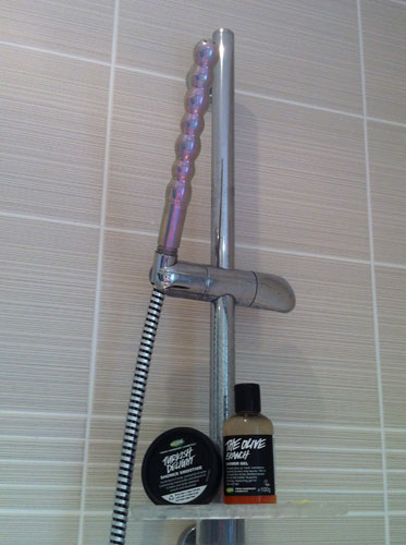 charlotte sizer recommends Shower Dildo