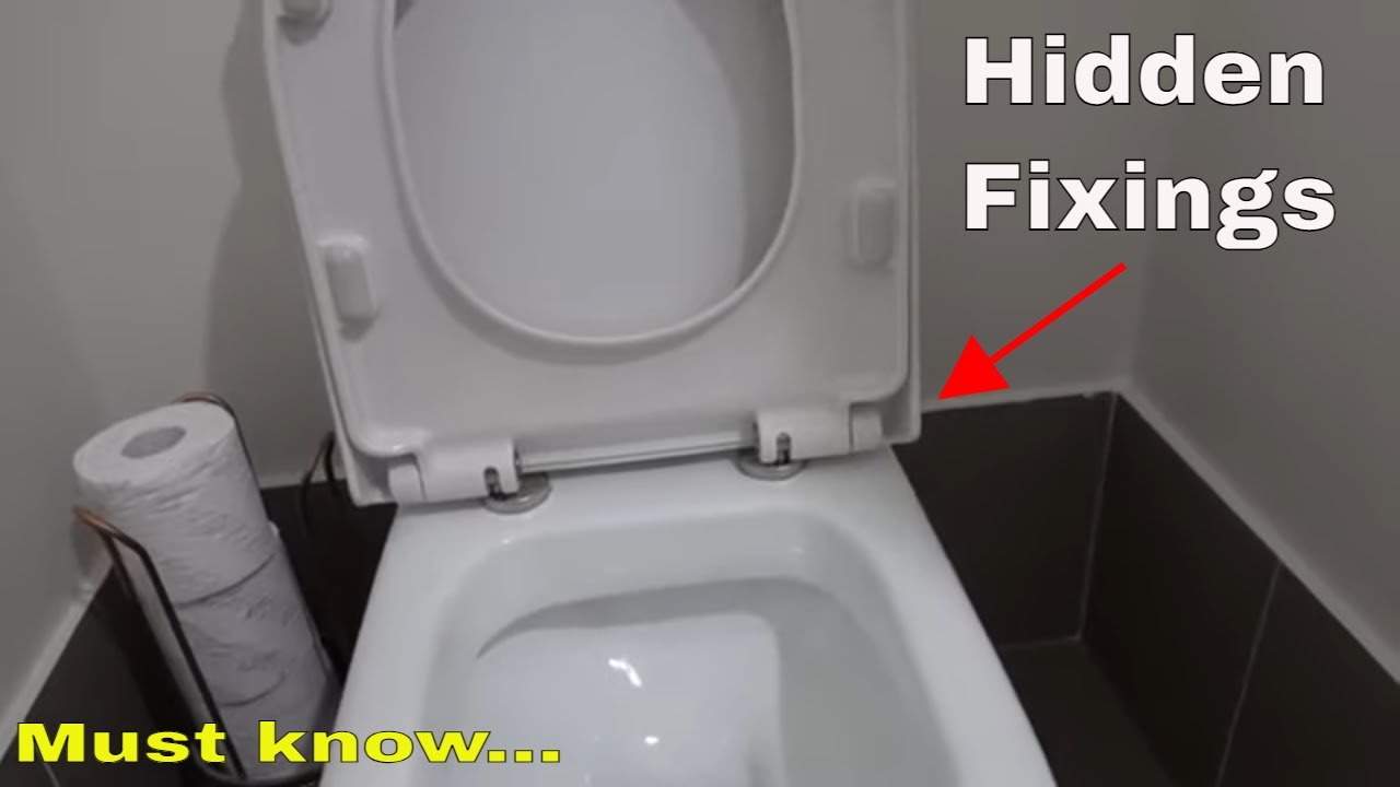 ana cvitkovac recommends Toilet Hidden Video