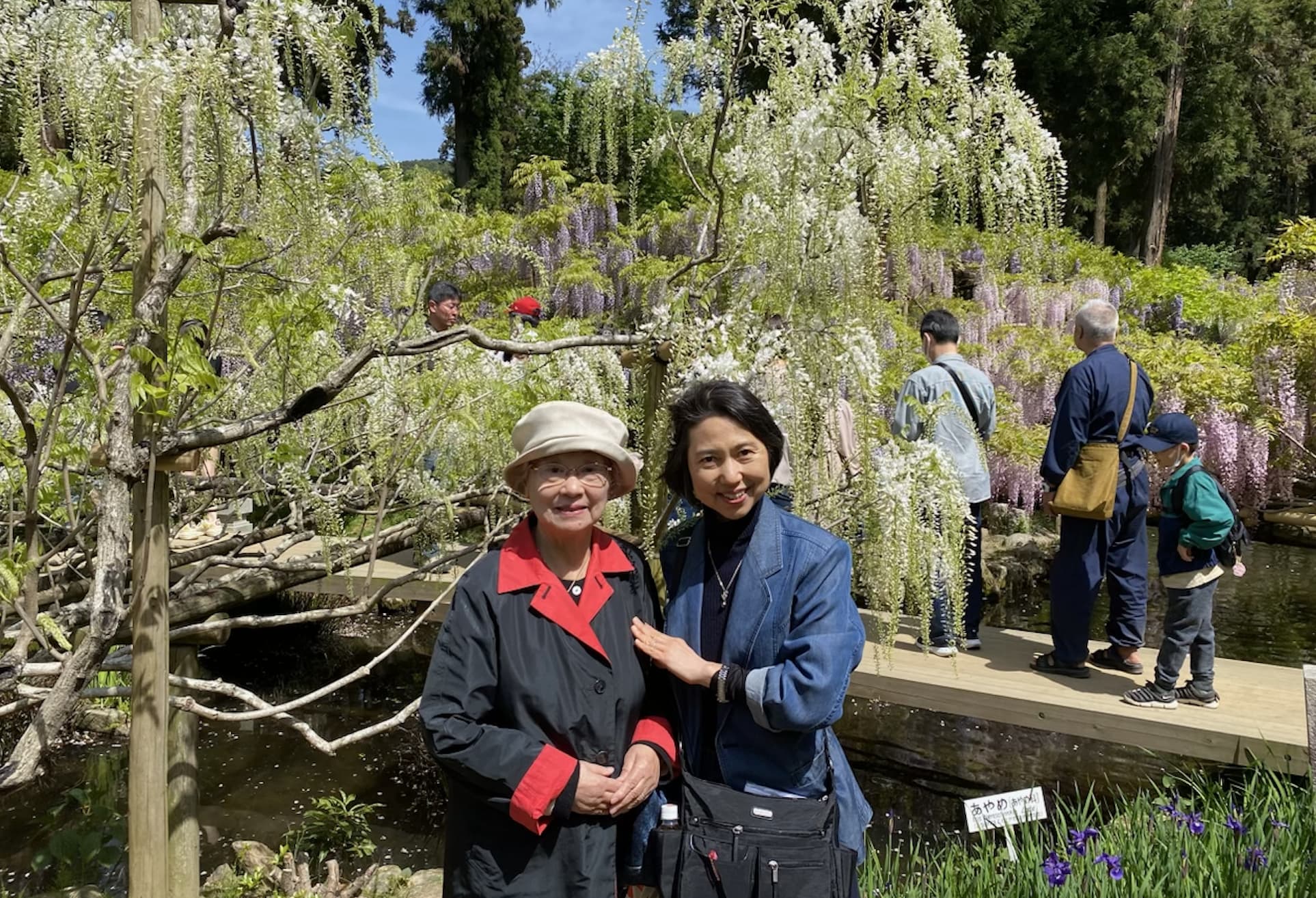 barbara held recommends japanese mom uncensored pic