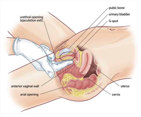 arianna king recommends biggest clitoris pic