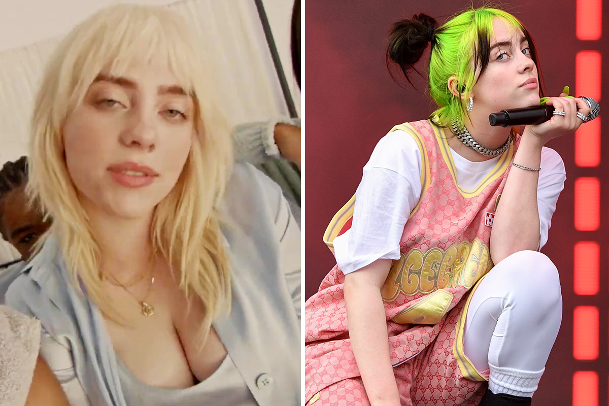 carol nettleton recommends billie eilish boob job pic