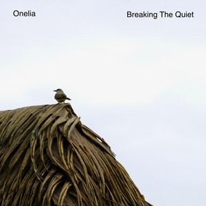 andy litzinger recommends breaking the quiet 4 pic