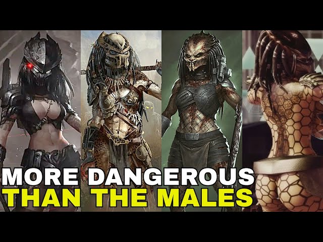 claire christopherson recommends Sexy Female Yautja