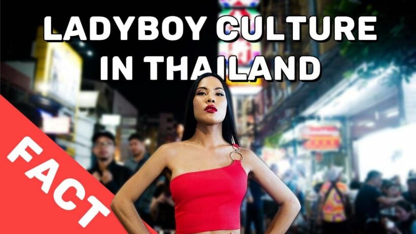 bahare hoseini recommends hot thai ladyboys pic