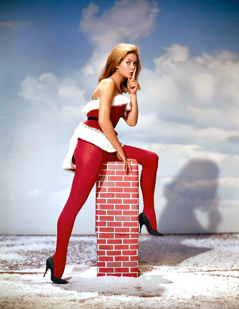 alvin ngo recommends elizabeth montgomery legs pic