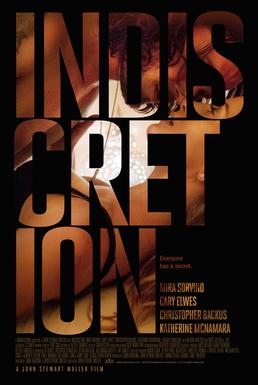 cindy thoma recommends Dangerous Indiscretion