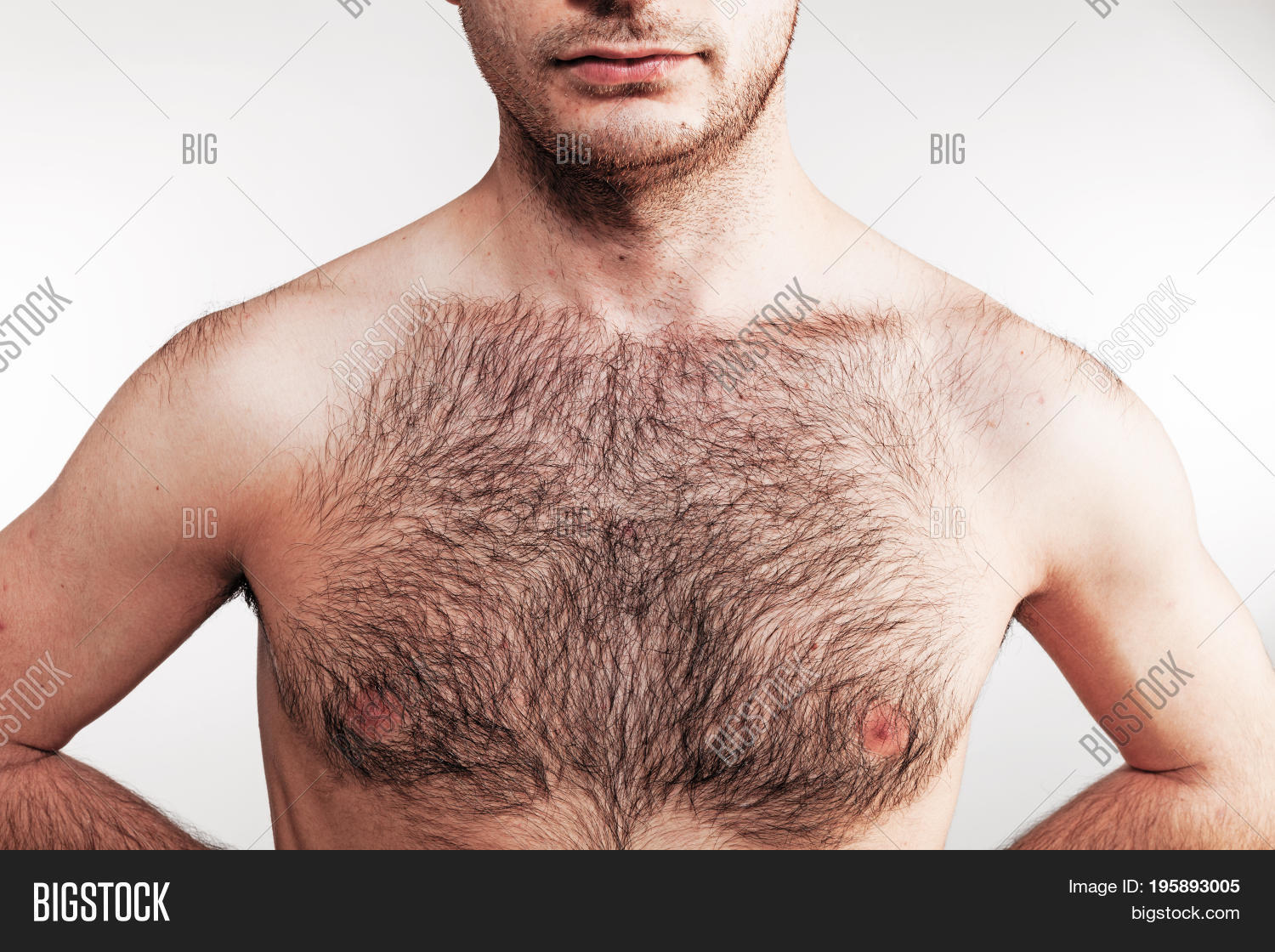 debashree bagchi recommends Hairy Chested Nude Men