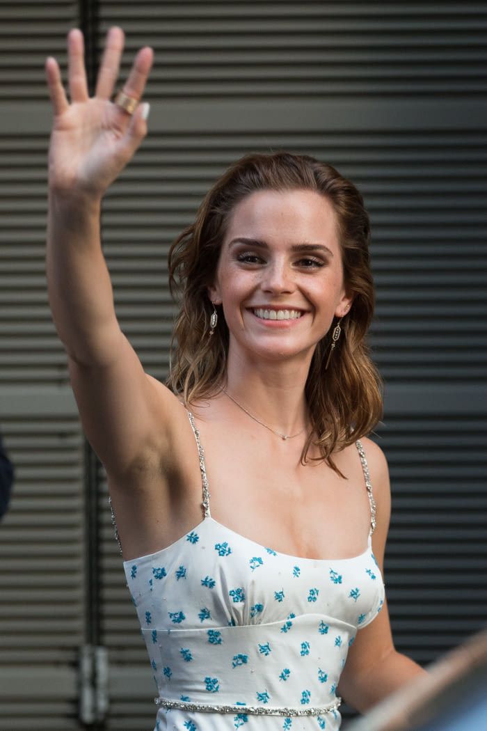 andrew kirkham recommends hairy emma watson pic