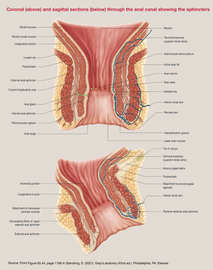 andy symes recommends high def anal pic