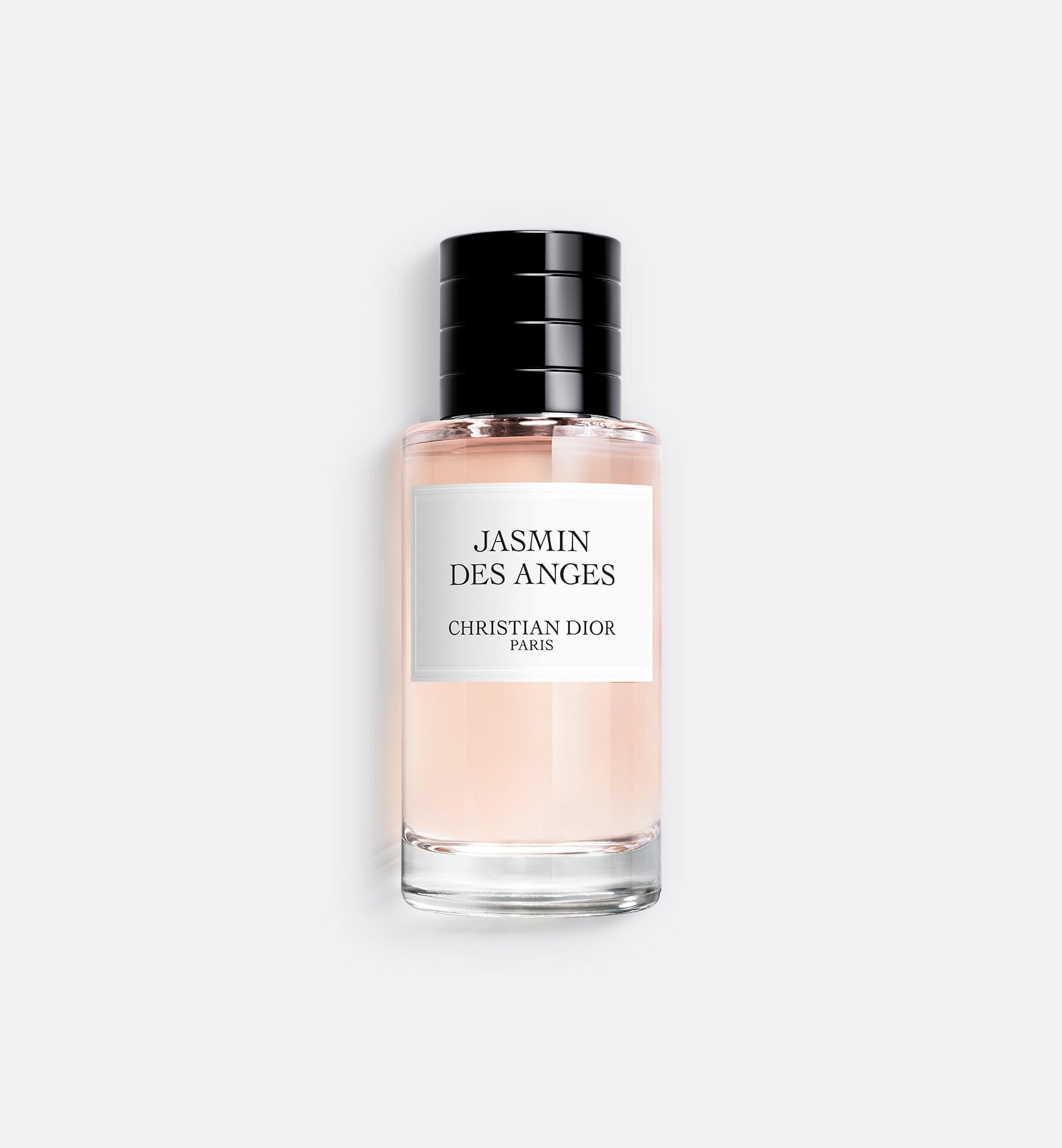 carol vandale recommends Jasmine Dior