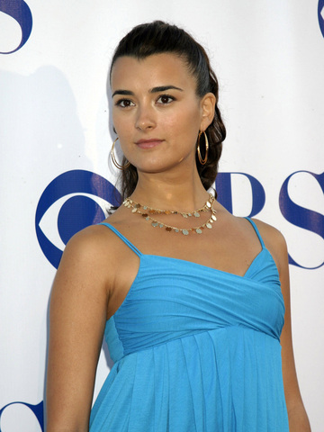 dan hodel recommends Naked Pictures Of Cote De Pablo