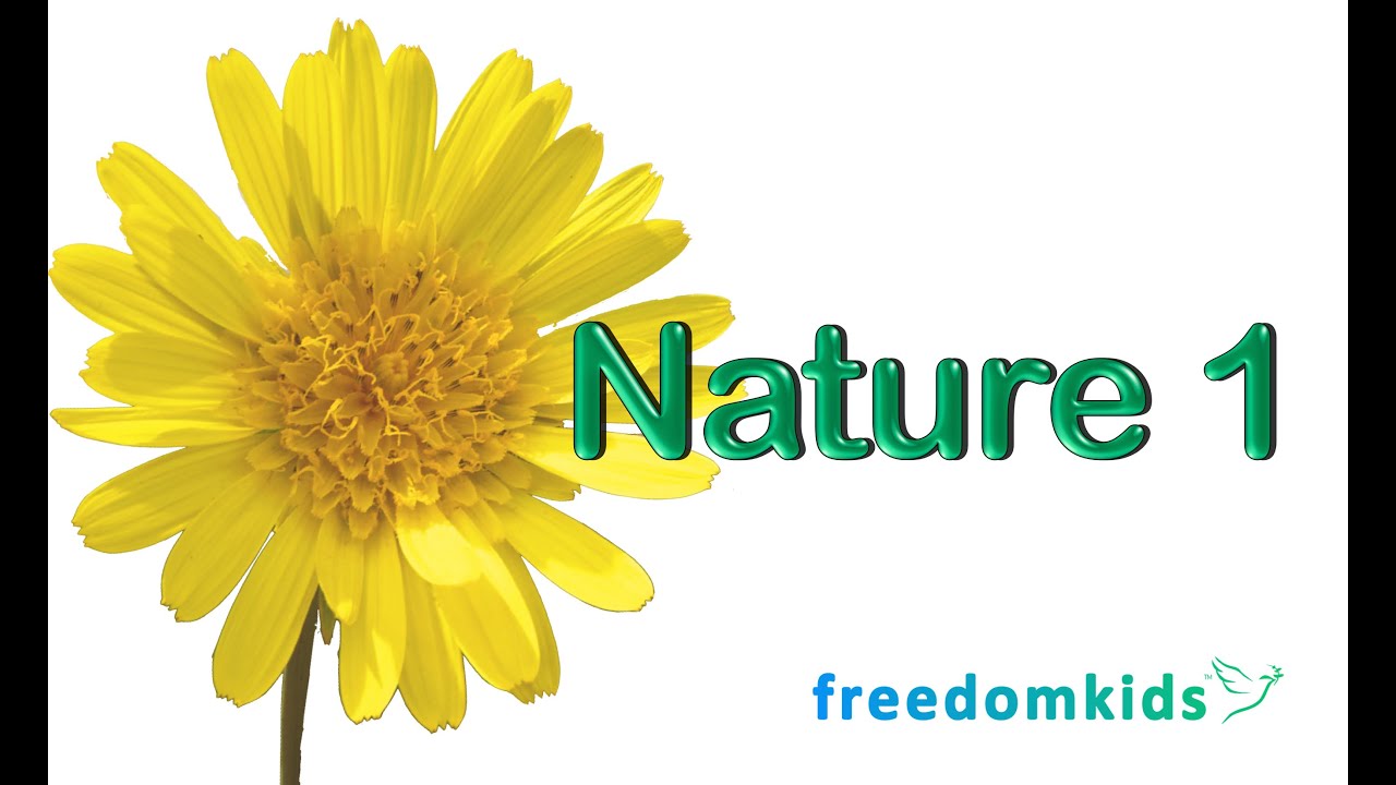 bui hiep recommends naturist freedom videos pic