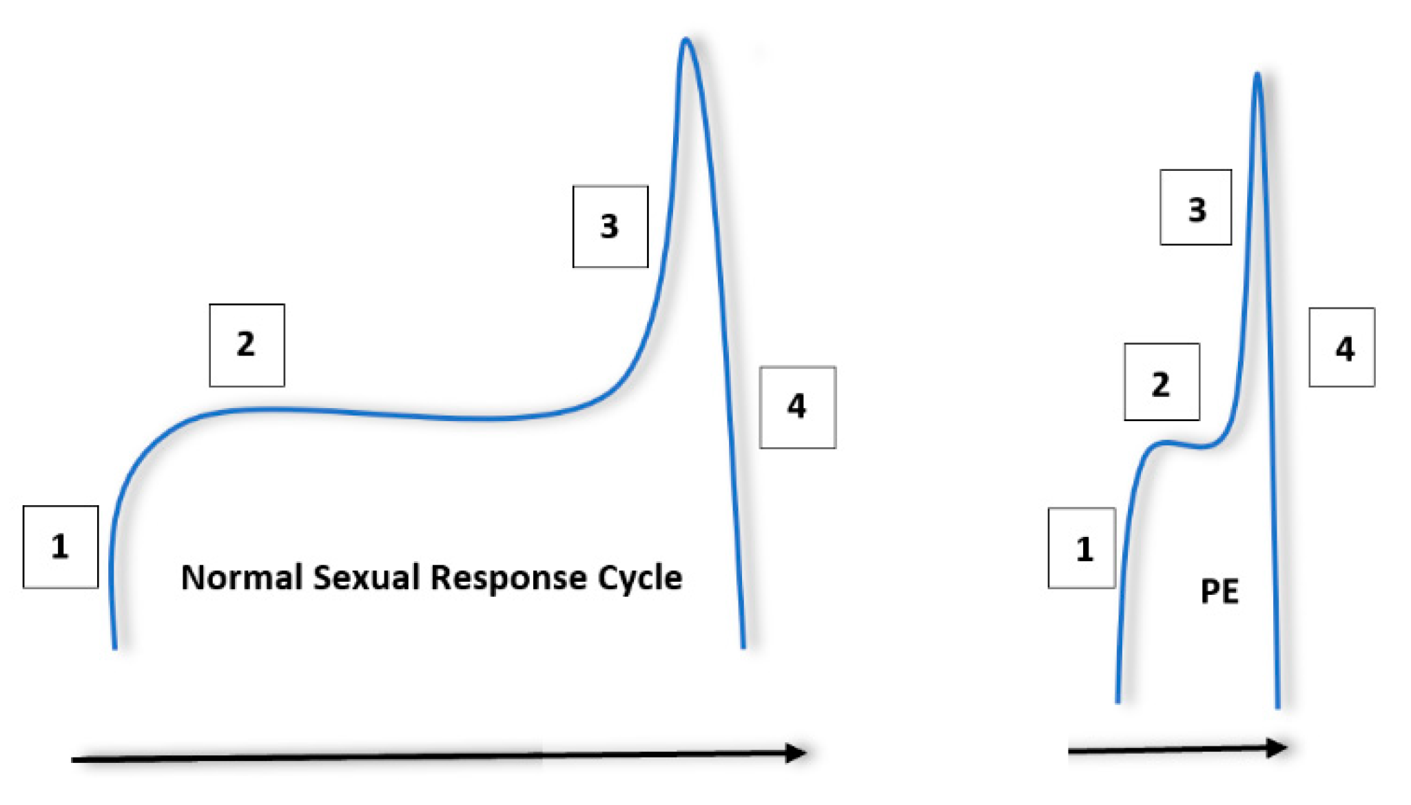 Best of Premature ejaculation in mouth