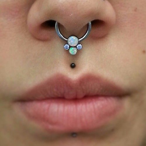 alex foote add photo smallest medusa piercing