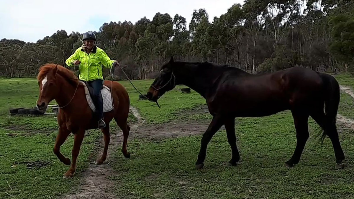 daniel zovko share tommy king riding photos