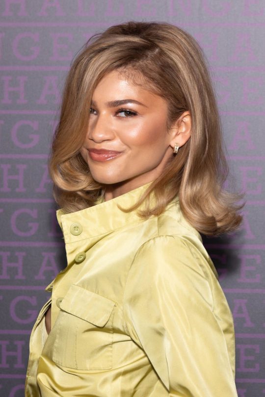 diane vara recommends zendaya nipslip pic